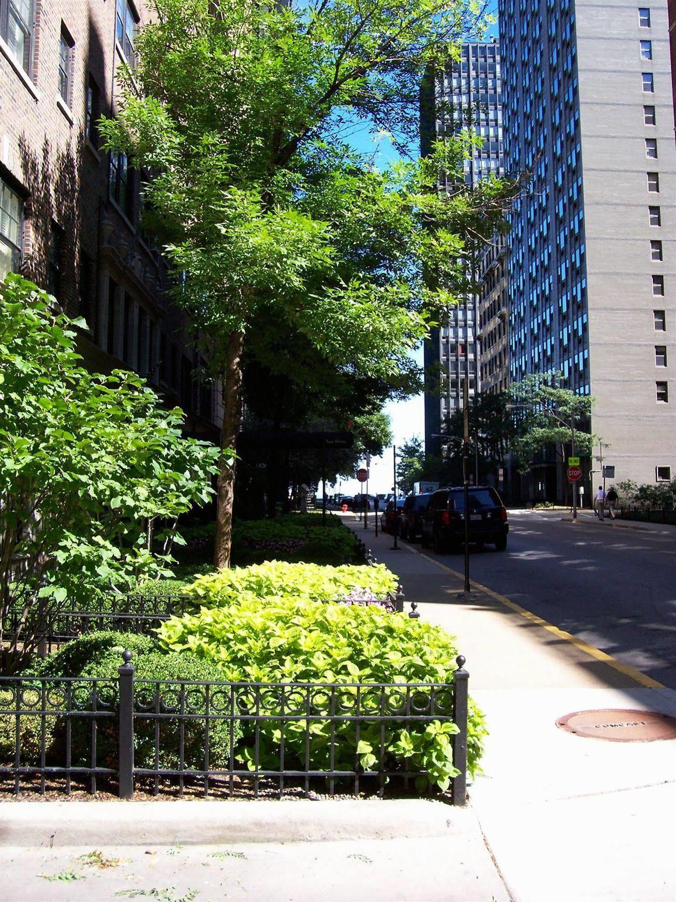 Dewitt Hotel And Suites Chicago Bagian luar foto